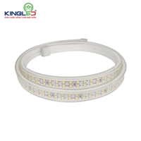 Đèn led 2 hàng bóng Công suất 11W tăng 50% cường độ chiếu sáng mà giá không đổi. Sở hữu 2 hàng led với 120 chip Led/ 1m dây, cùng 2 màu Vàng – Trắng cho sự lựa chọn