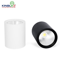 Đèn ống bơ chiếu rọi 20W Peridot, kích thước 90*100, chip led Samsung rank S3 cho hiệu suất cao CRI>90, tuổi thọ trên 5 năm, thiết kế kim loại cao cấp 