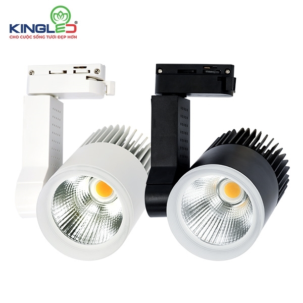 Đèn Rọi Ray 30W Beryl (DTL-30SS Series)