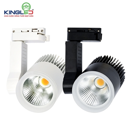 Đèn Rọi Ray 30W Beryl (DTL-30SS Series)