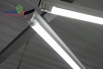 Tại sao đèn led T8 18W lại được ưa chuộng trên thị trường?