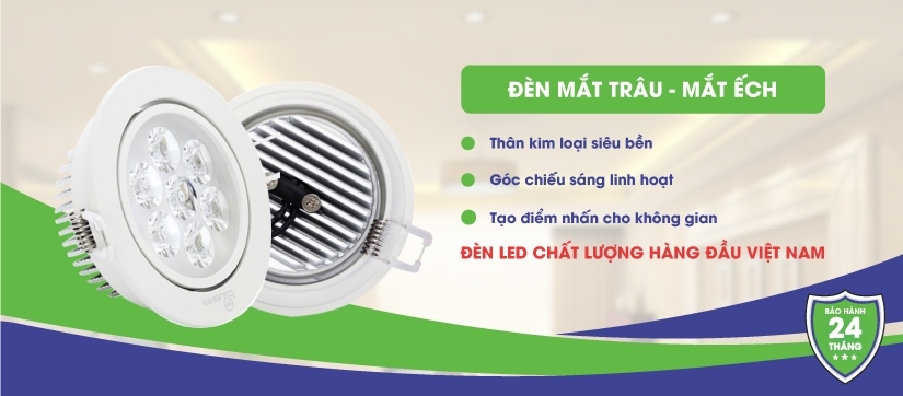 ĐÈN MẮT TRÂU - MẮT ẾCH