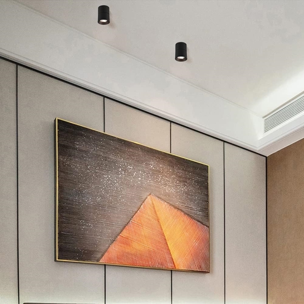 hai màu vỏ đen trắng